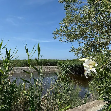 Kunevain Apartamento *